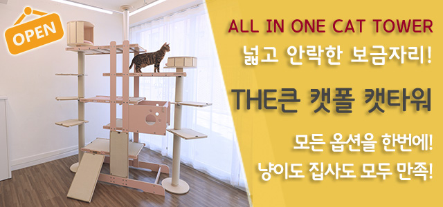 the 큰타워 캣폴